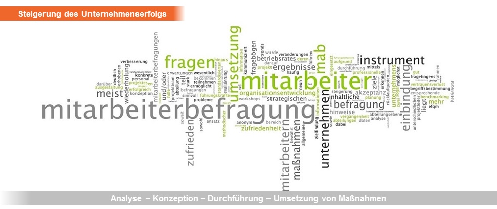 Mitarbeiterbefragung Mit Vorschlagswesen - HRpuls